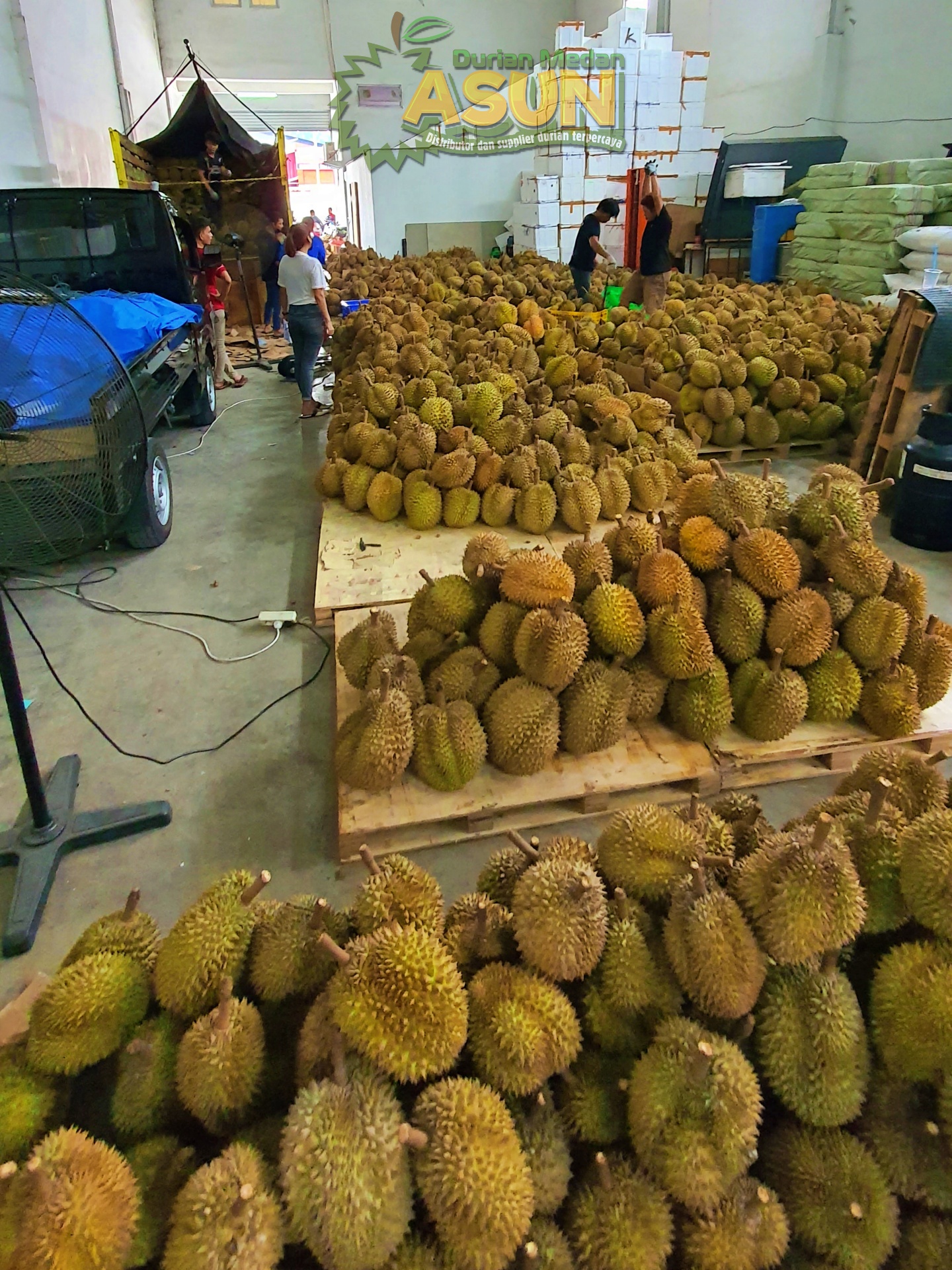 Durian Monthong Asun Durian