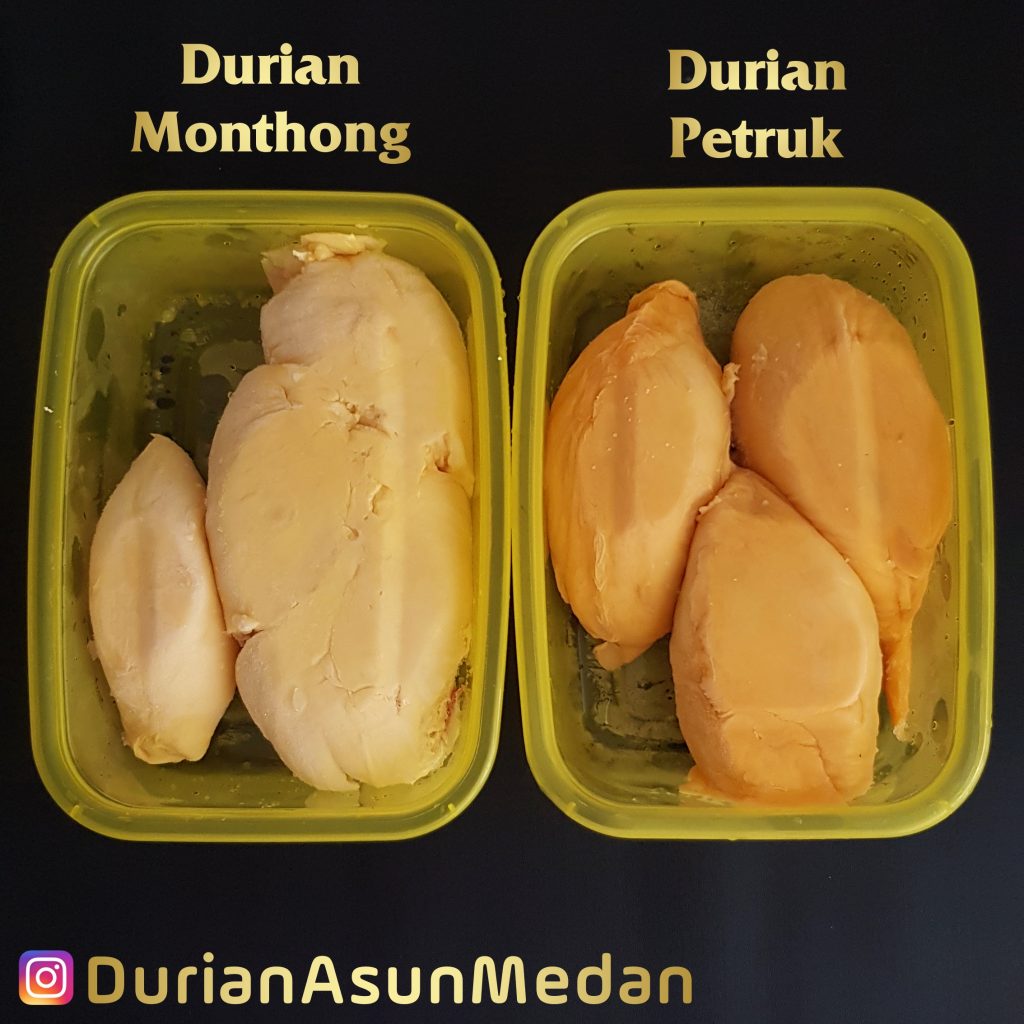 Durian Petruk Palu Asun