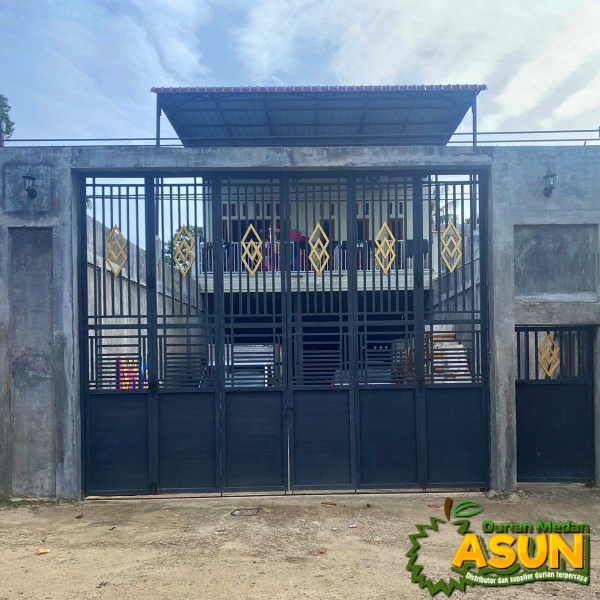 Asun Durian Sibolga Medan