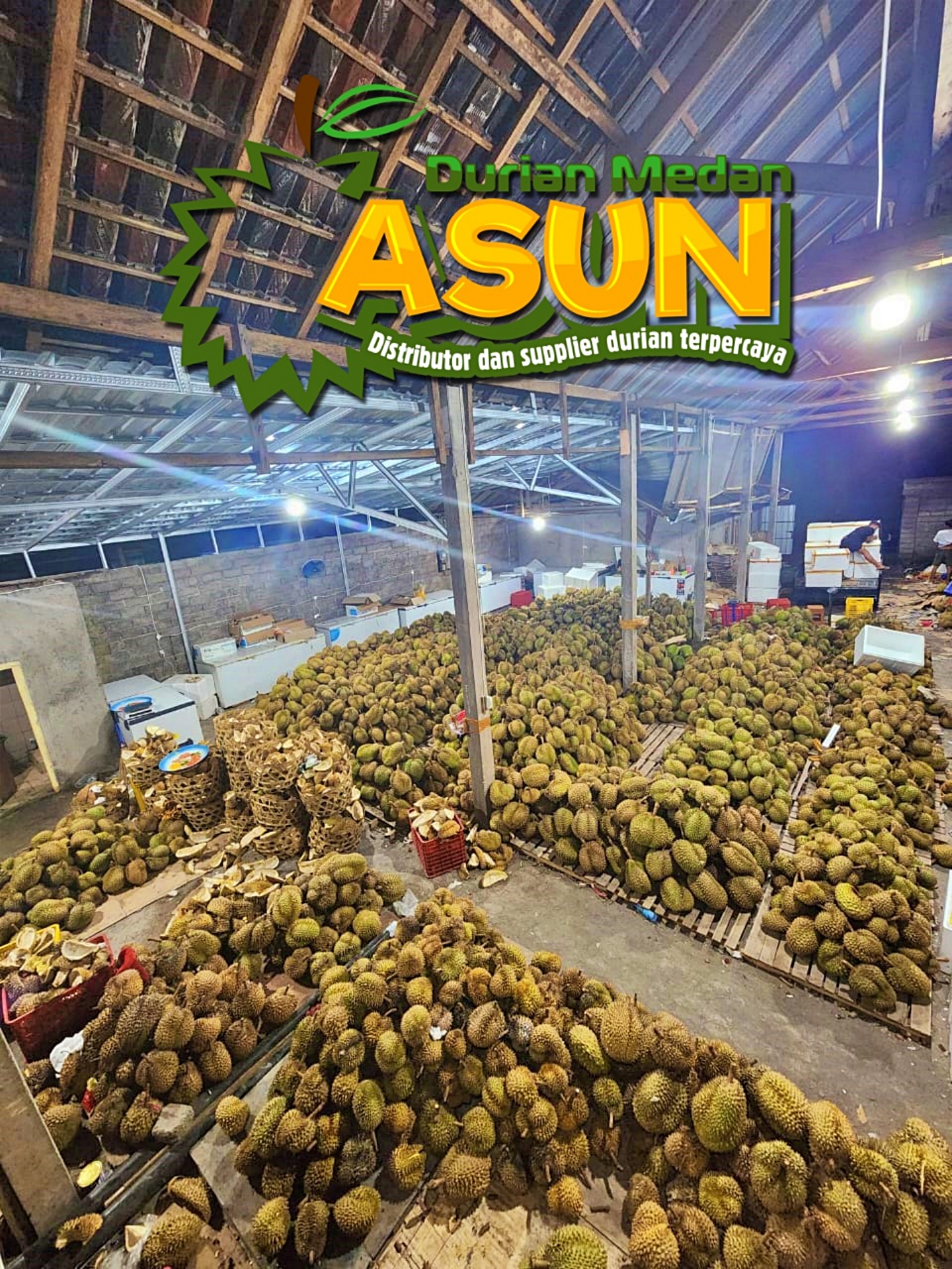 Warehouse Asun Bali Singaraja