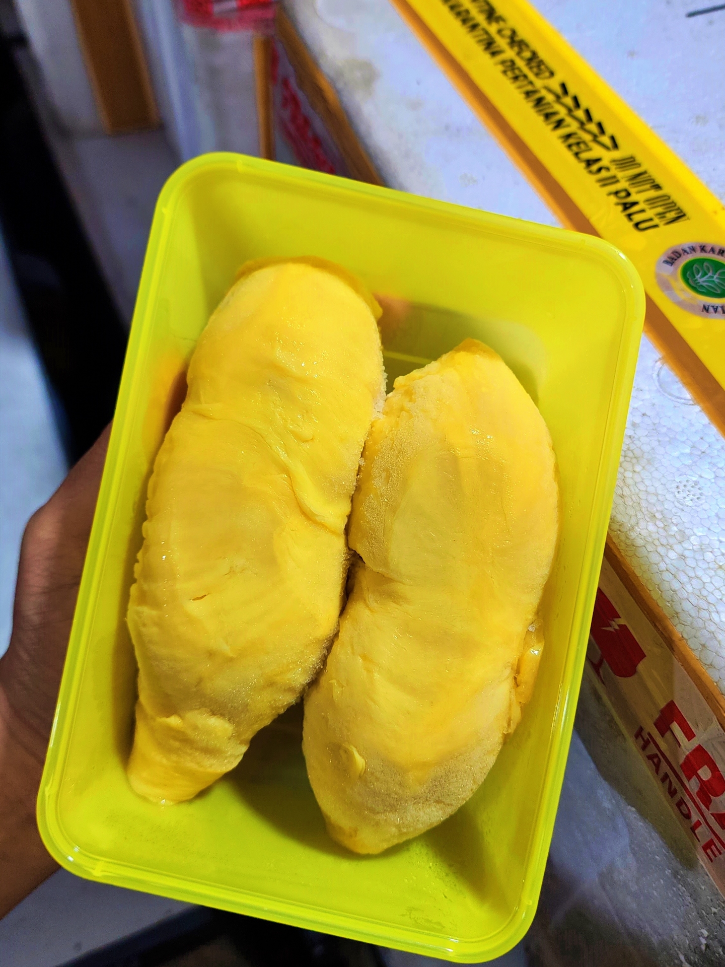 Durian Montong Palu Parigi Yellow Box Asli